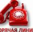 Информирование населения по телефонам «горячей линии» - Город Ровеньки