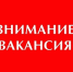 Информация о наличии актуальных вакансий в Территориальном отделении Государственного казенного учреждения «Республиканский центр занятости населения Луганской Народной Республики»» в городе Ровеньки по состоянию на 27 января 2025 г. - Город Ровеньки