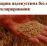 Реализация зерна недопустима без его декларирования - Город Ровеньки