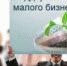 Поддержка начинающего бизнеса!. - Город Ровеньки