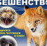 Бешенство - опасное инфекционное заболевание. - Город Ровеньки