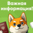 Что нужно сделать, чтобы номер снова стал доступен?. - Город Ровеньки