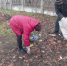 Благоустройство пгт Новодарьевка. - Город Ровеньки