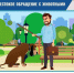 Жестокое обращение с животными. - Город Ровеньки